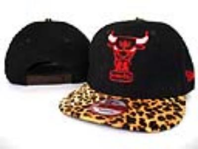 Cheap NBA hats wholesale No. 316